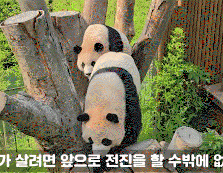EwBjQe.gif