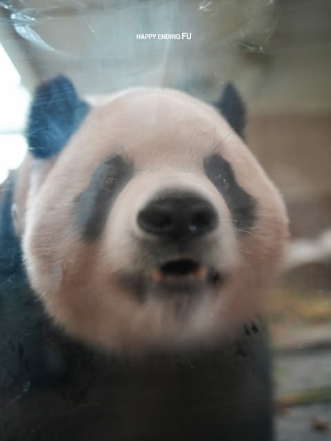 EwEAVQ