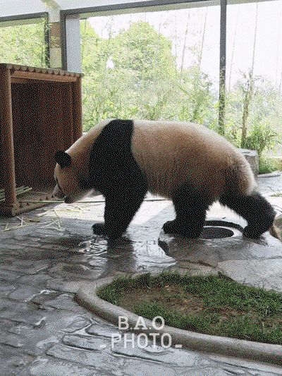 EwVhwA.gif