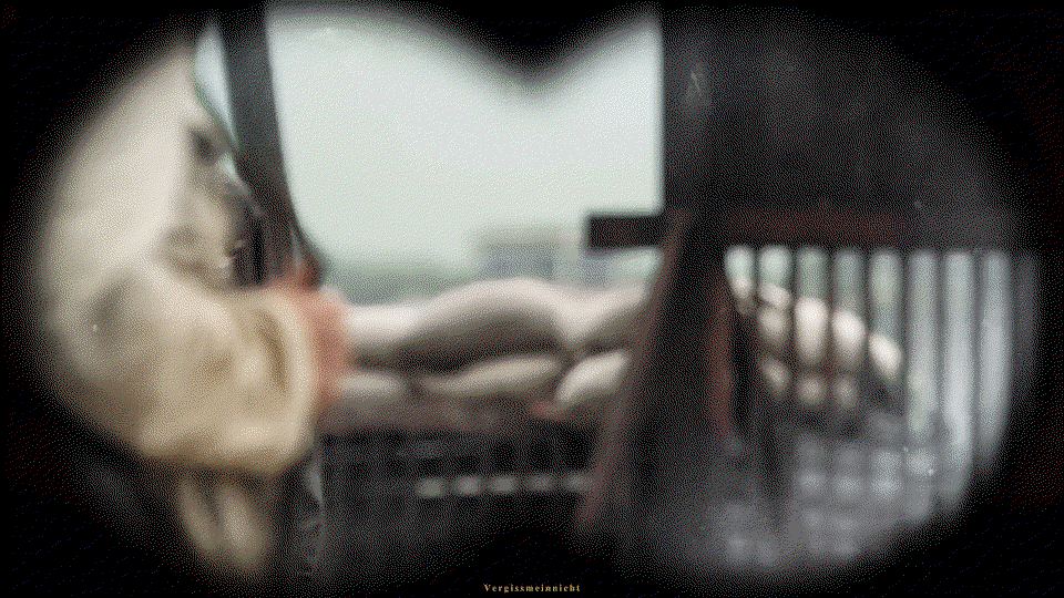 FCLobR.gif