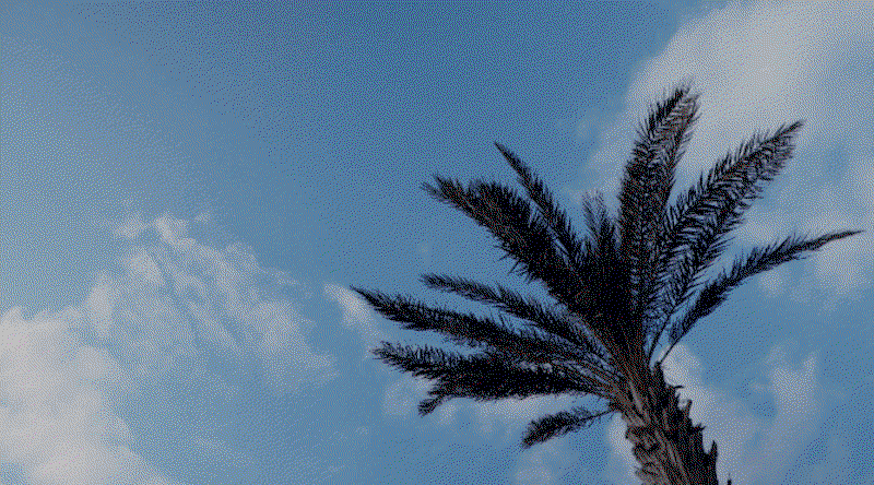 FCyRxL.gif