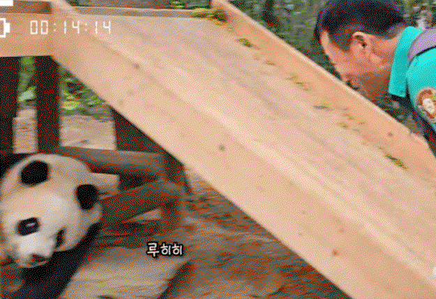 FHsNZA.gif