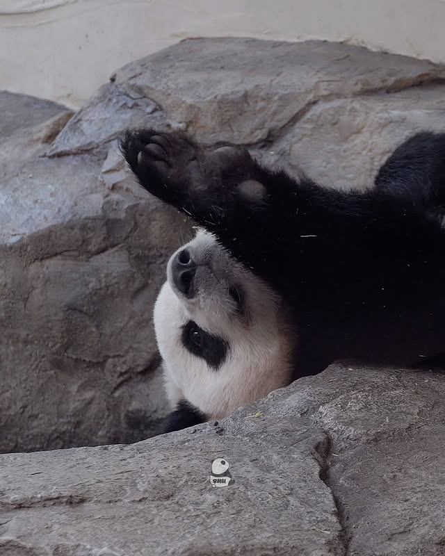 FJKITt
