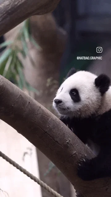FMBOqK