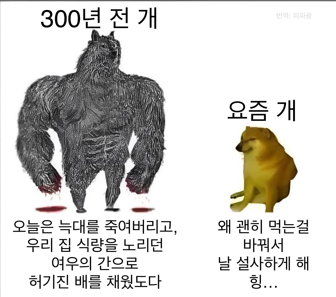 FNFtAN