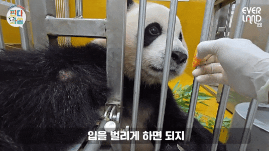 FNzIml.gif