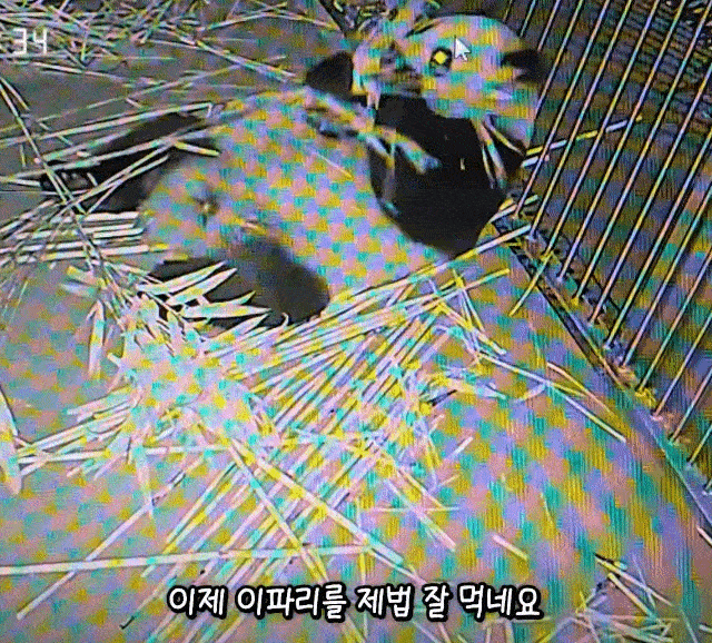 FPGVJh.gif