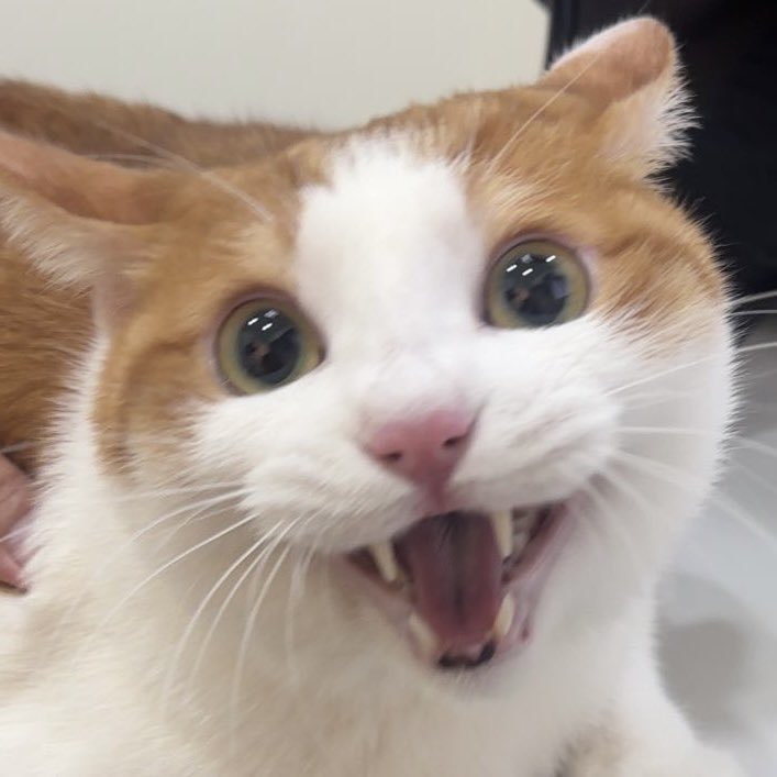 FPpDoL