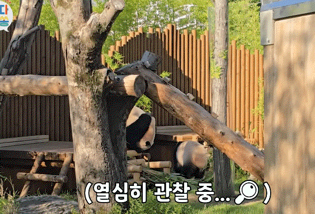 FRCUHq.gif