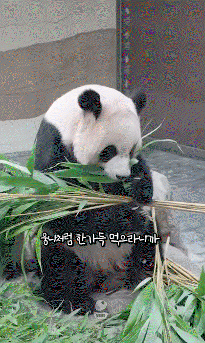 FRTVbO.gif