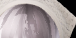 FReiBf