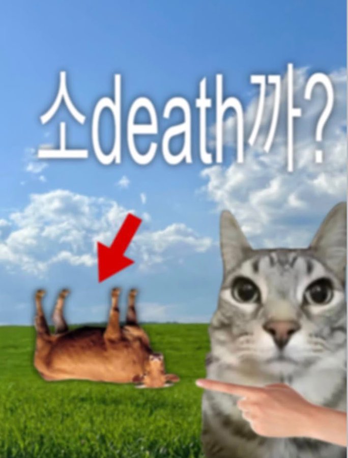 FRrPiw