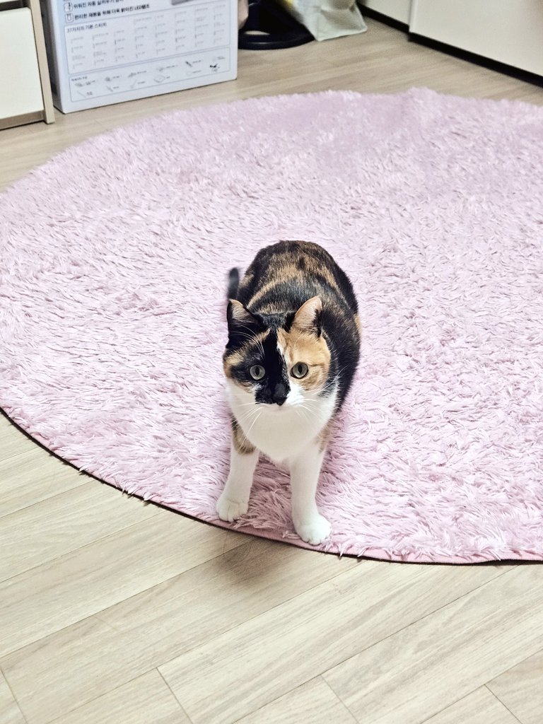 FSfQoY