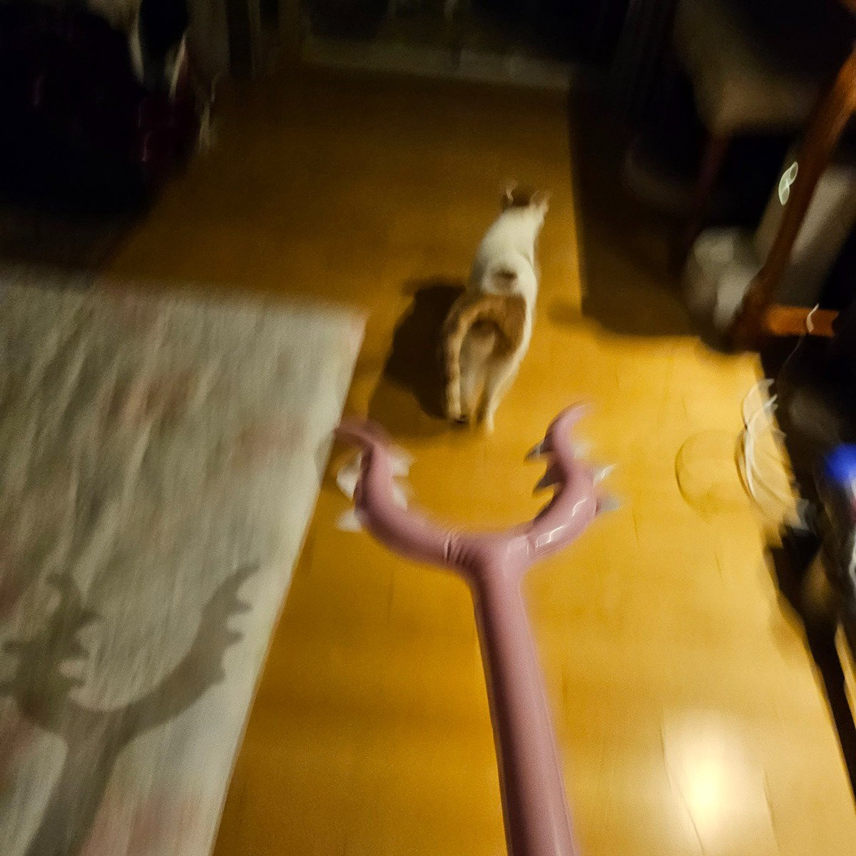 FTnYdB