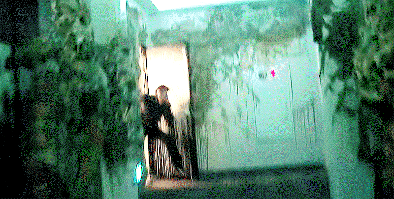 FbIpyt.gif
