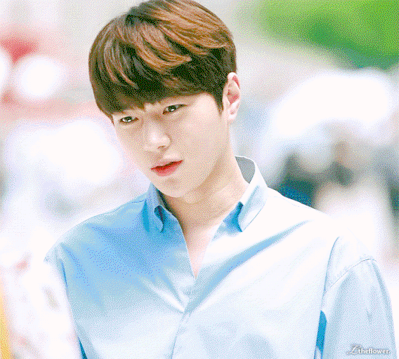 Fbbhmk.gif