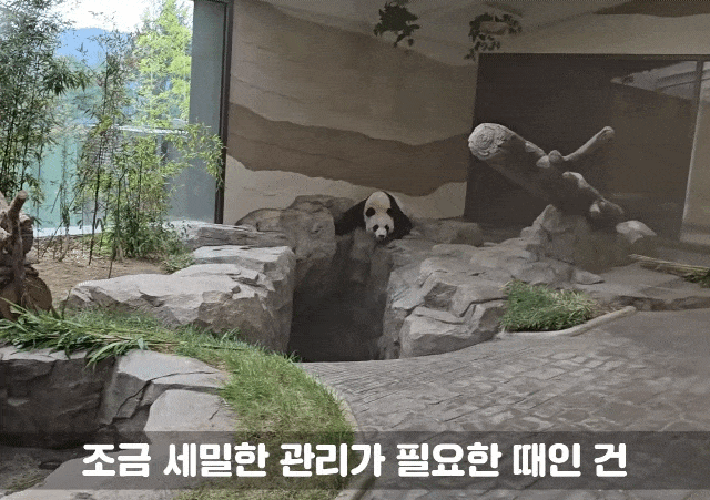 FbbkTV.gif