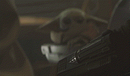 FdVorZ.gif