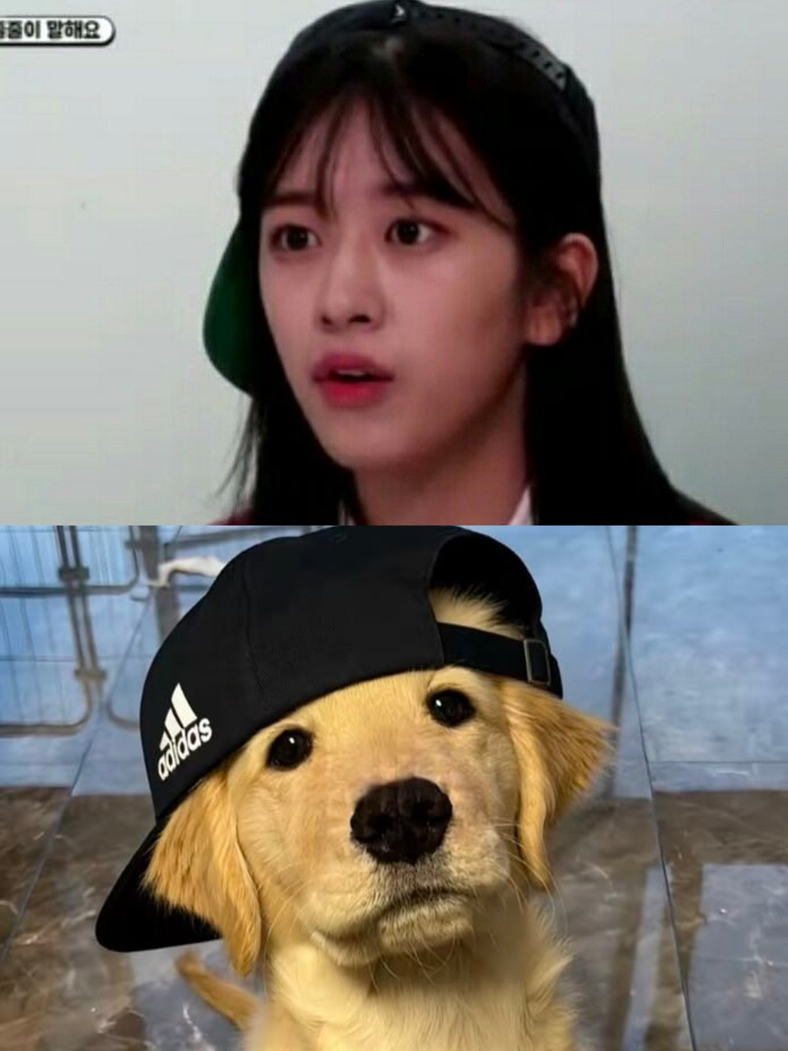 FeTapi