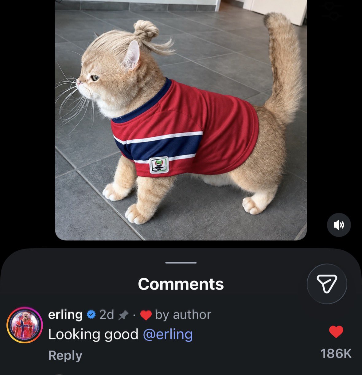FgRaMm