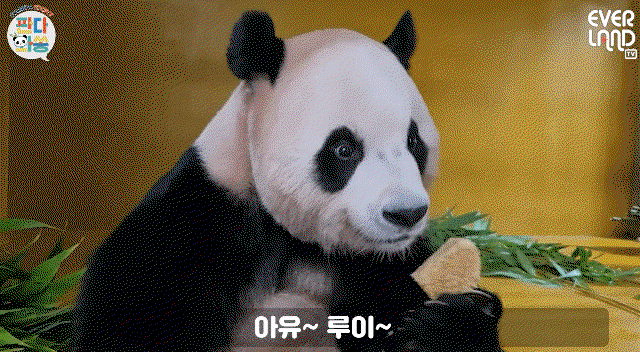 FhCvie.gif