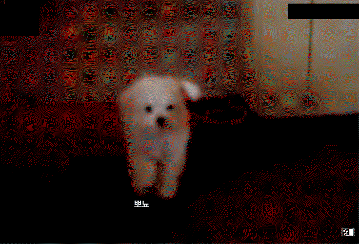 FiaWFe.gif