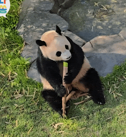 Fknhxa.gif