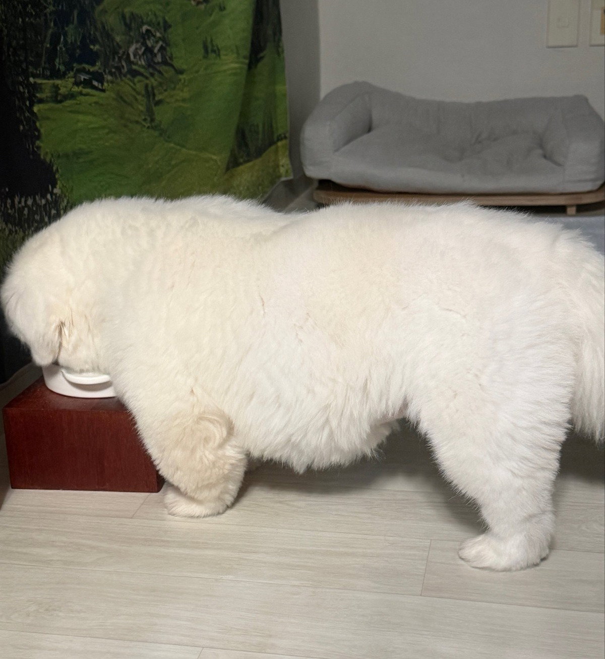 FkvBnt