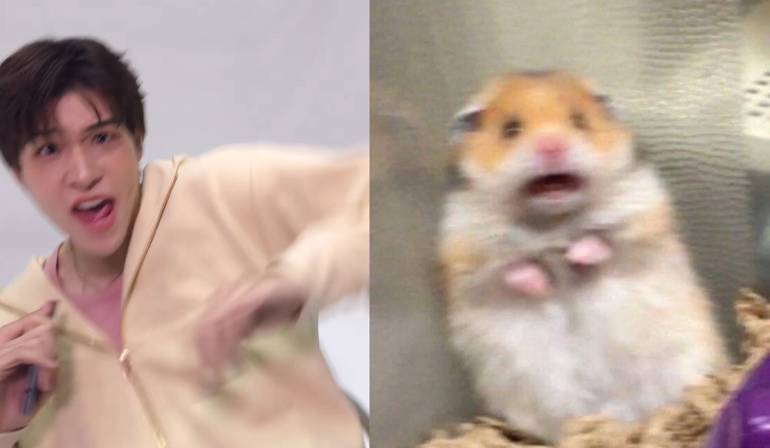 FmWIGT