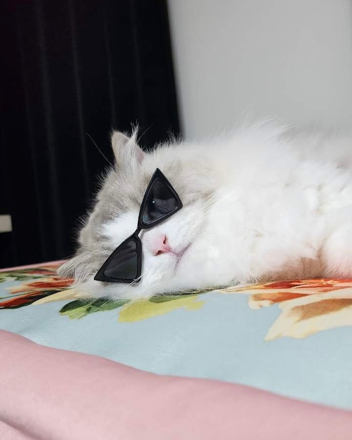 FnuHgl