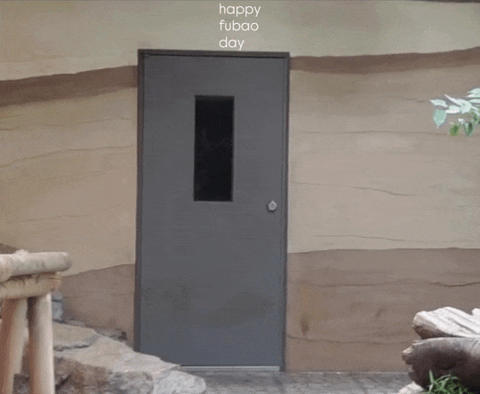 FoBmIq.gif