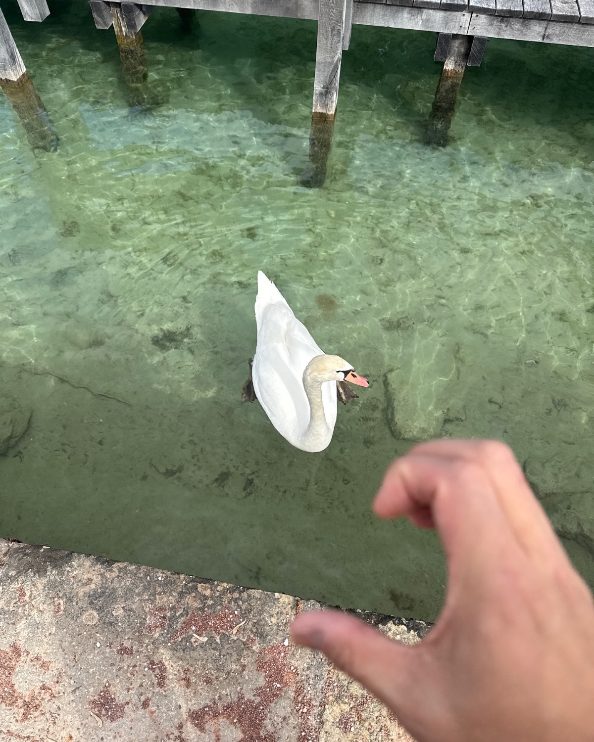 FowJps