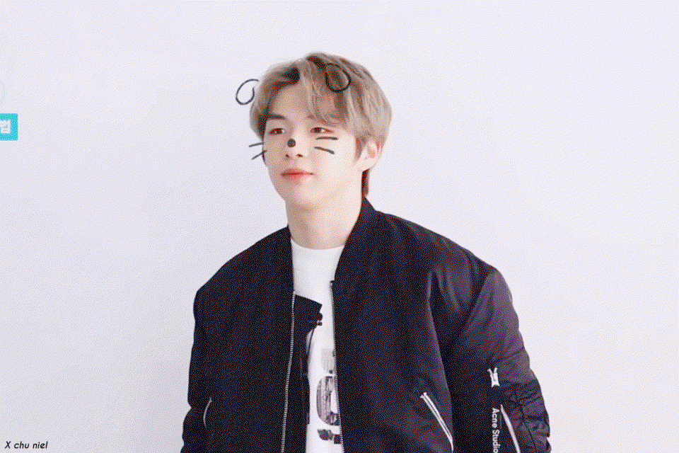 FpChyd.gif