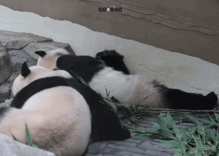 FpNIDu.gif