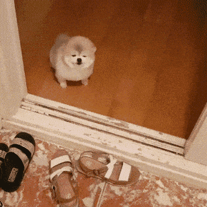 FpXDkF.gif