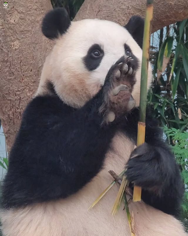 FpxllQ