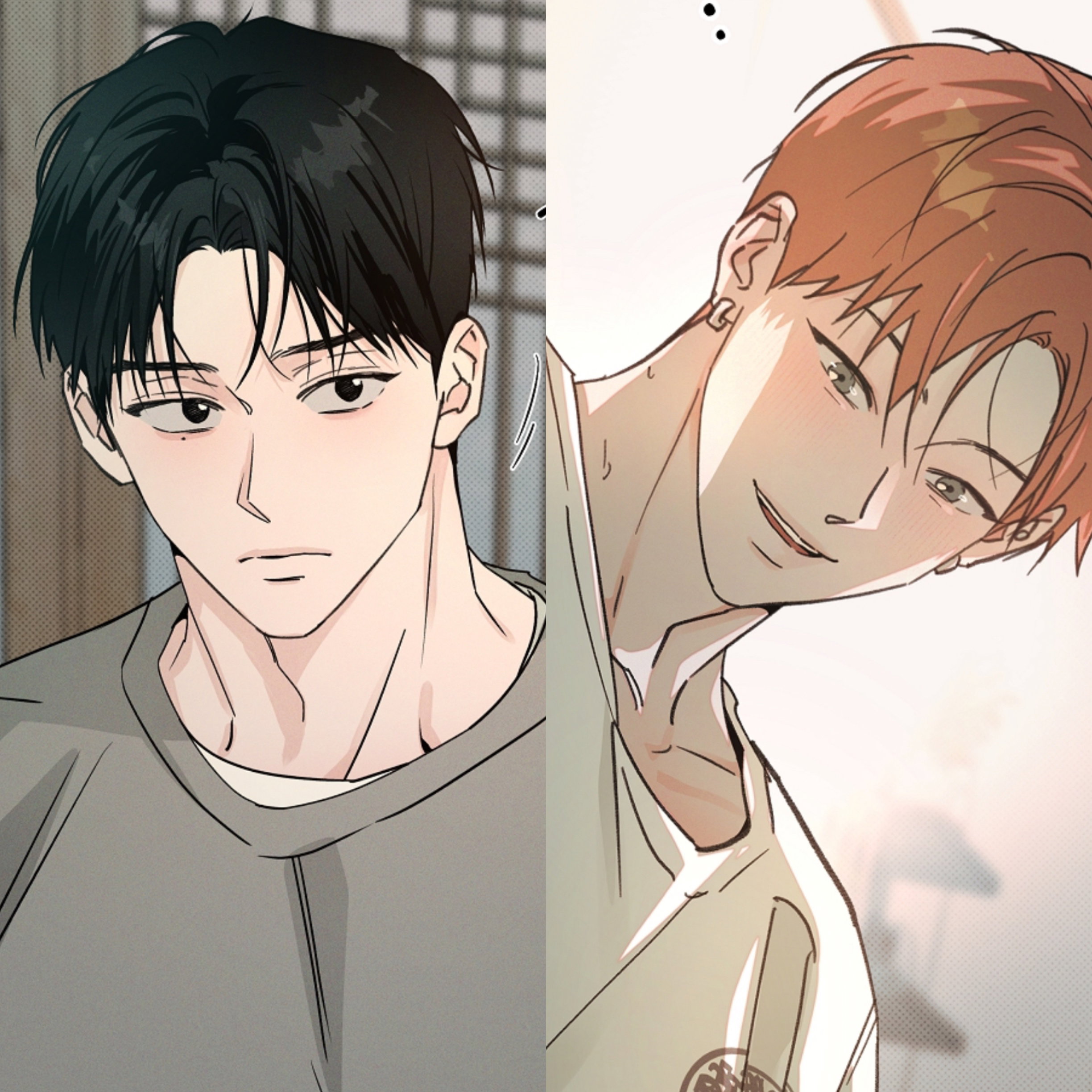 Fqopri