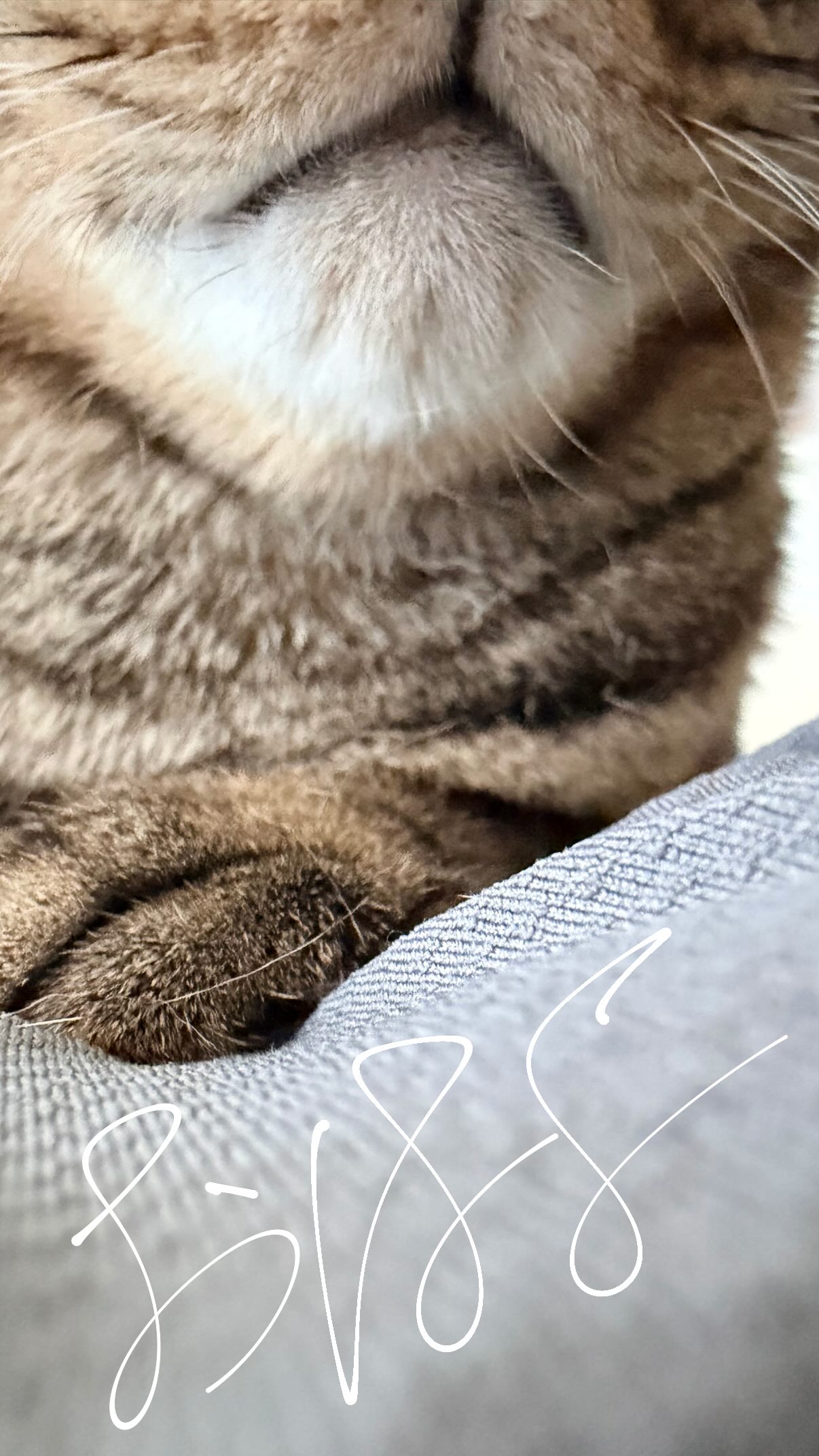 FrWbCy