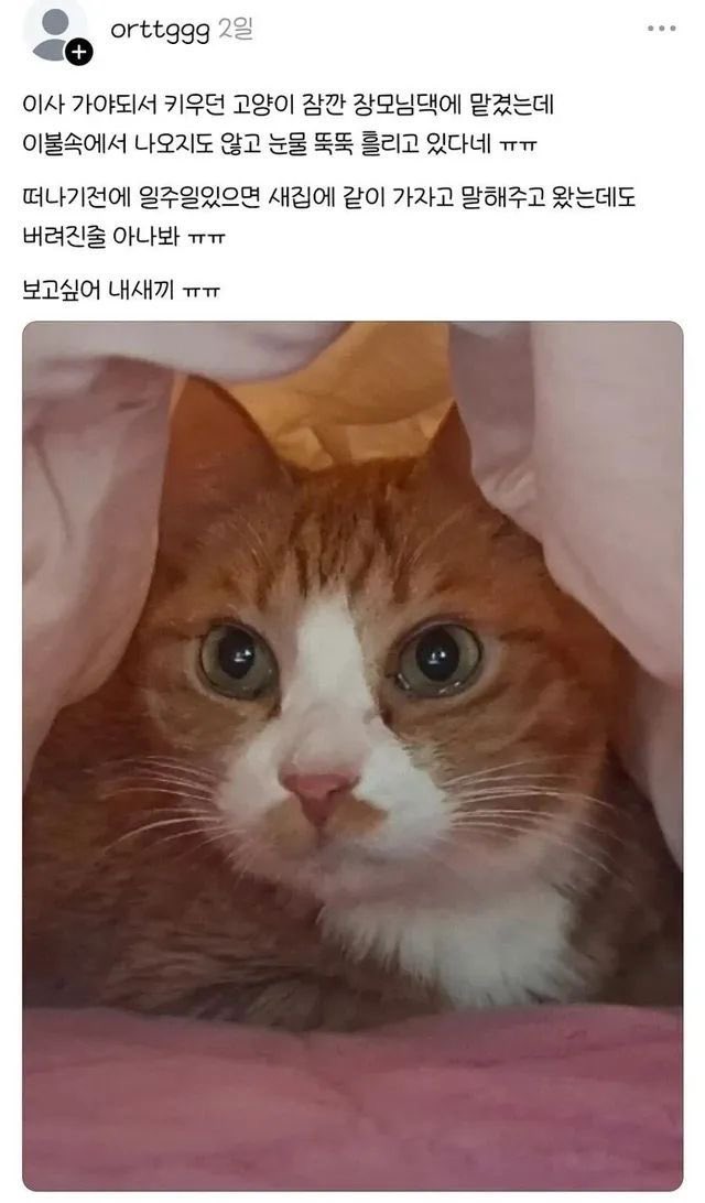 FrXHJA