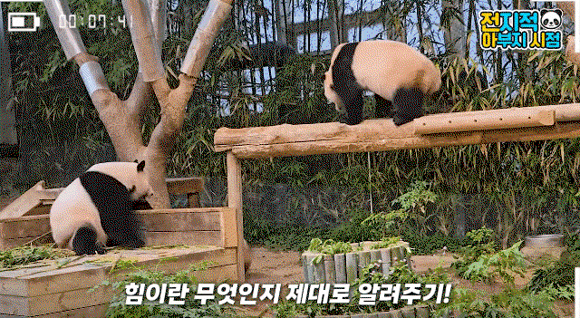 FsFOou.gif