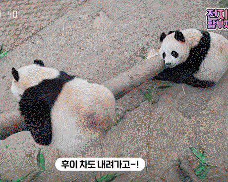 FugcUu.gif