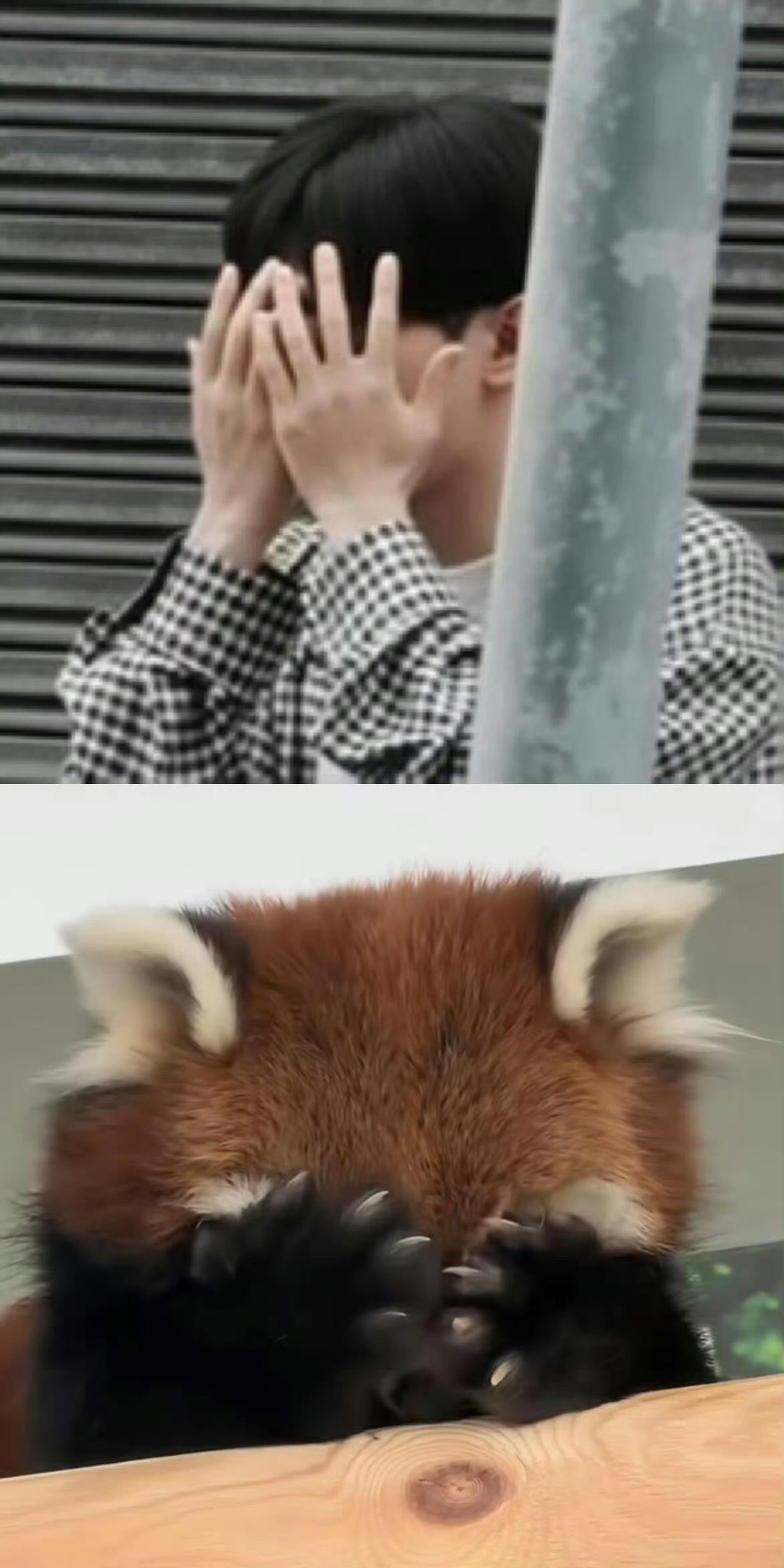 FviXhr
