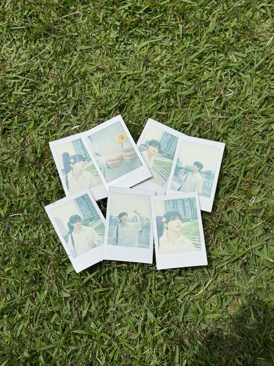 FvplPd