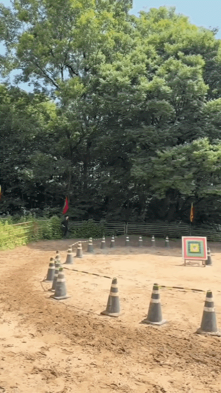 Fwdems.gif