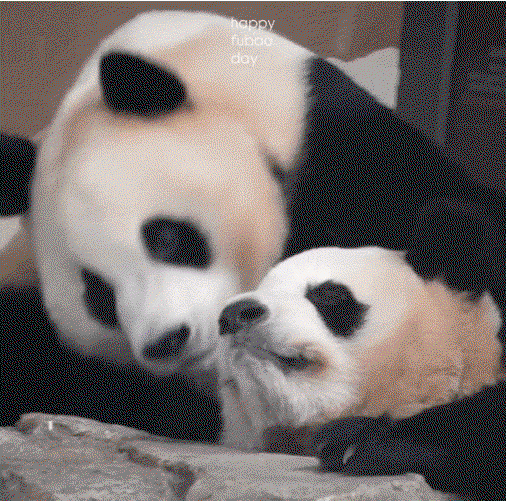 FxQoIW.gif