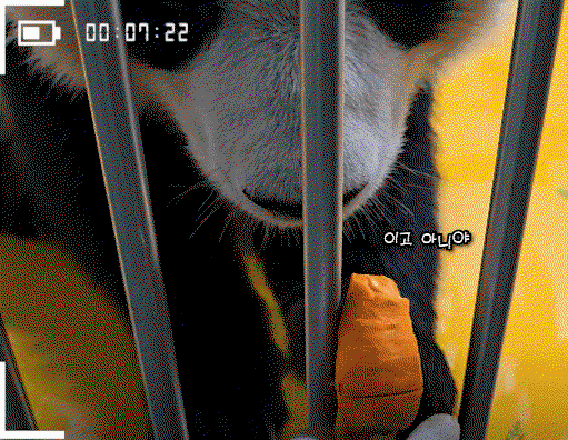 FxXkTo.gif