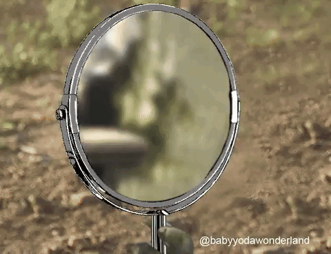 FzYMhV.gif