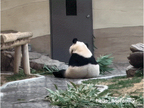 GDXpxj.gif