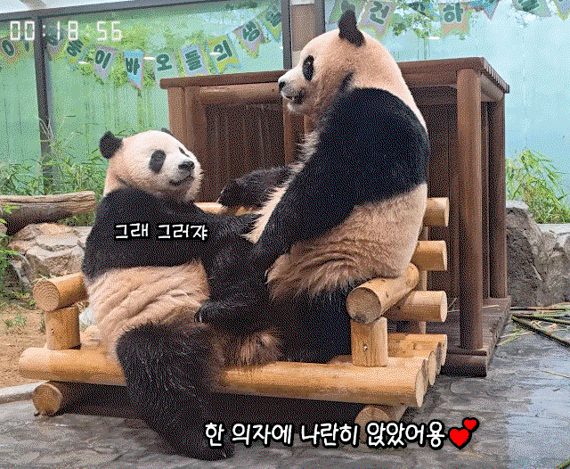 GDxXgJ.gif