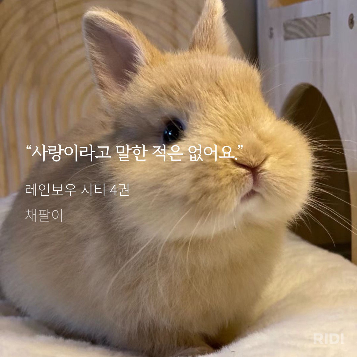 GEAobp